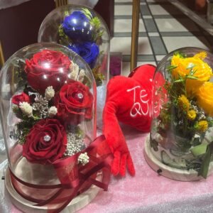Cúpulas con luz preservadas